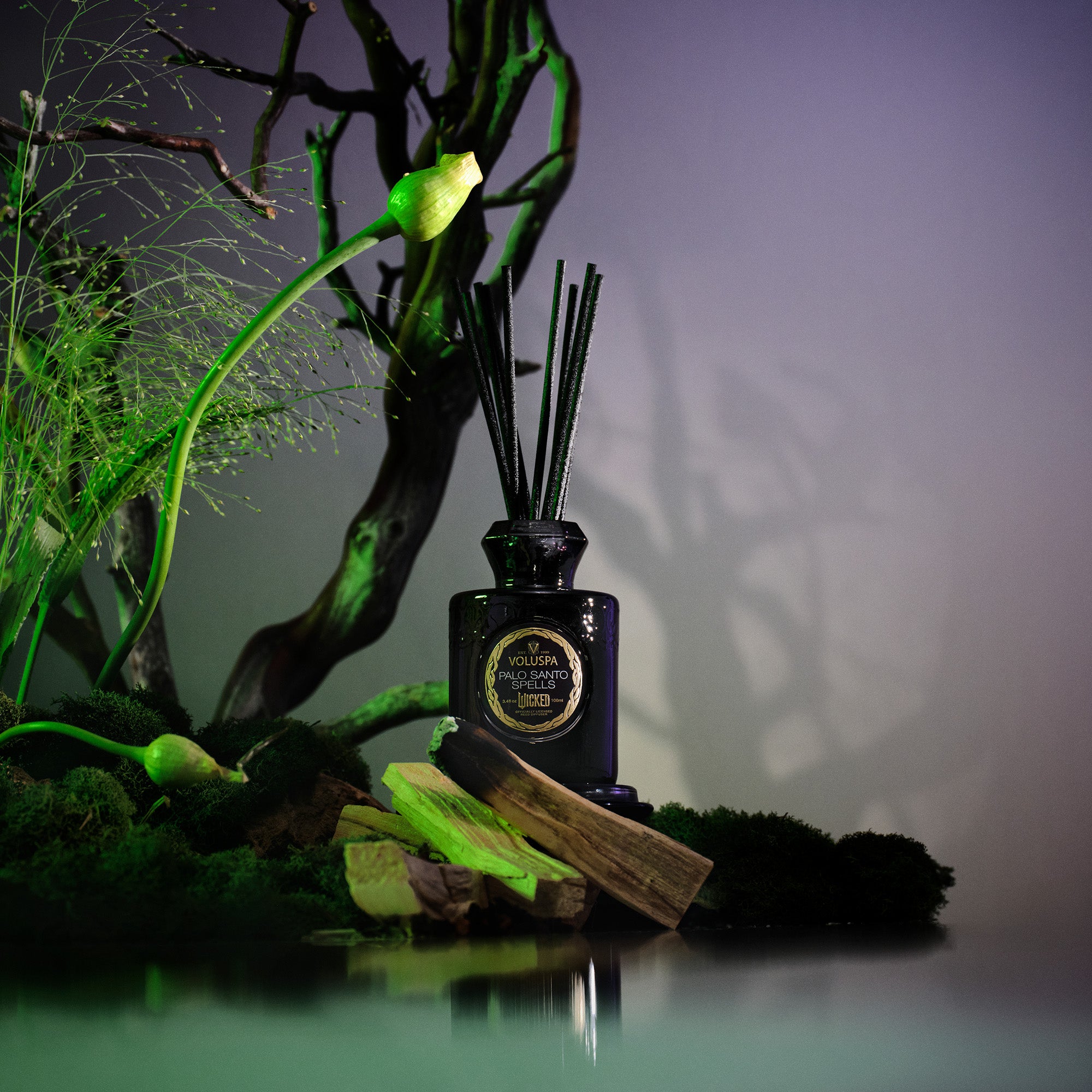 Palo Santo Spells - Reed Diffuser - Image 2