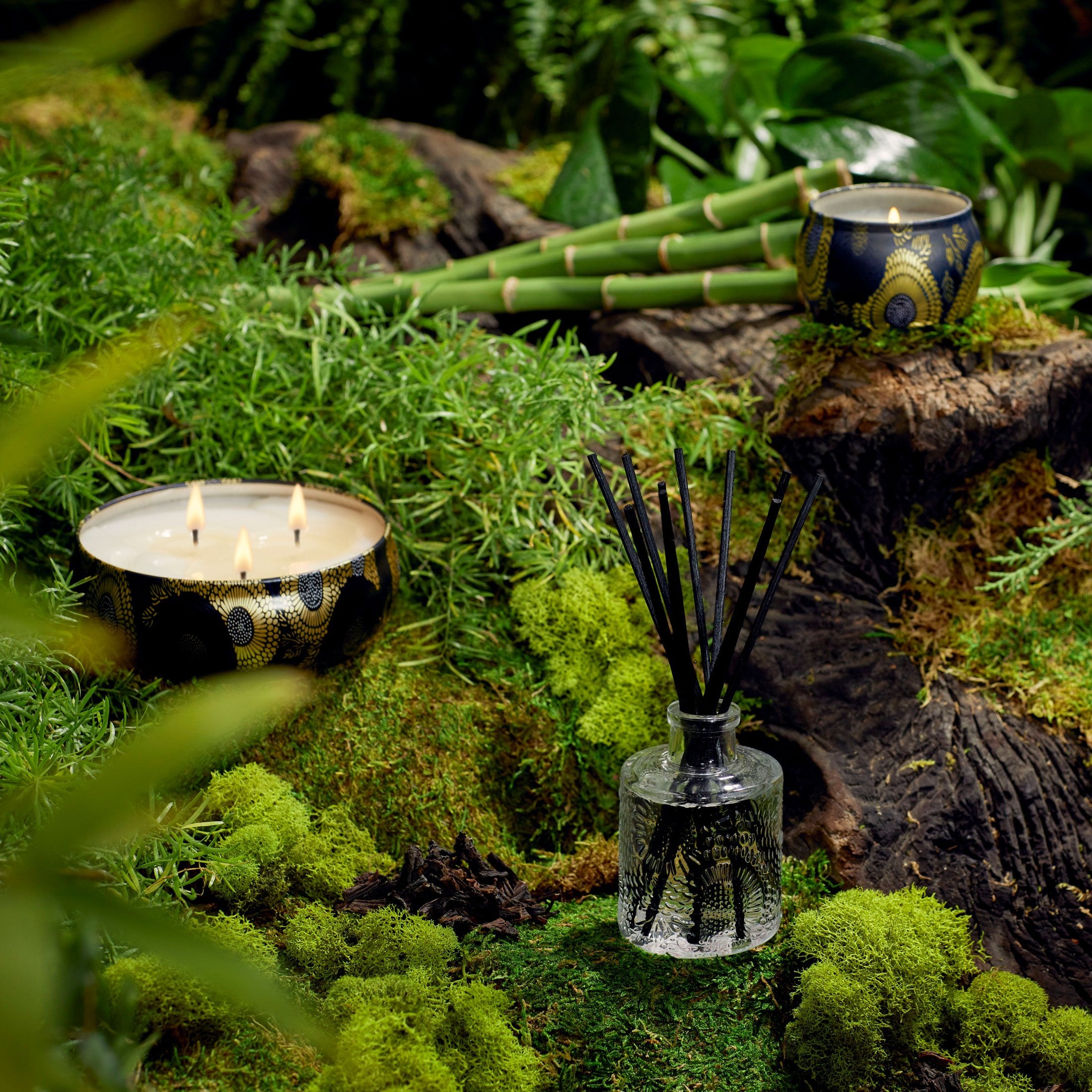 Moso Bamboo - 3 Wick Tin Candle - Image 2