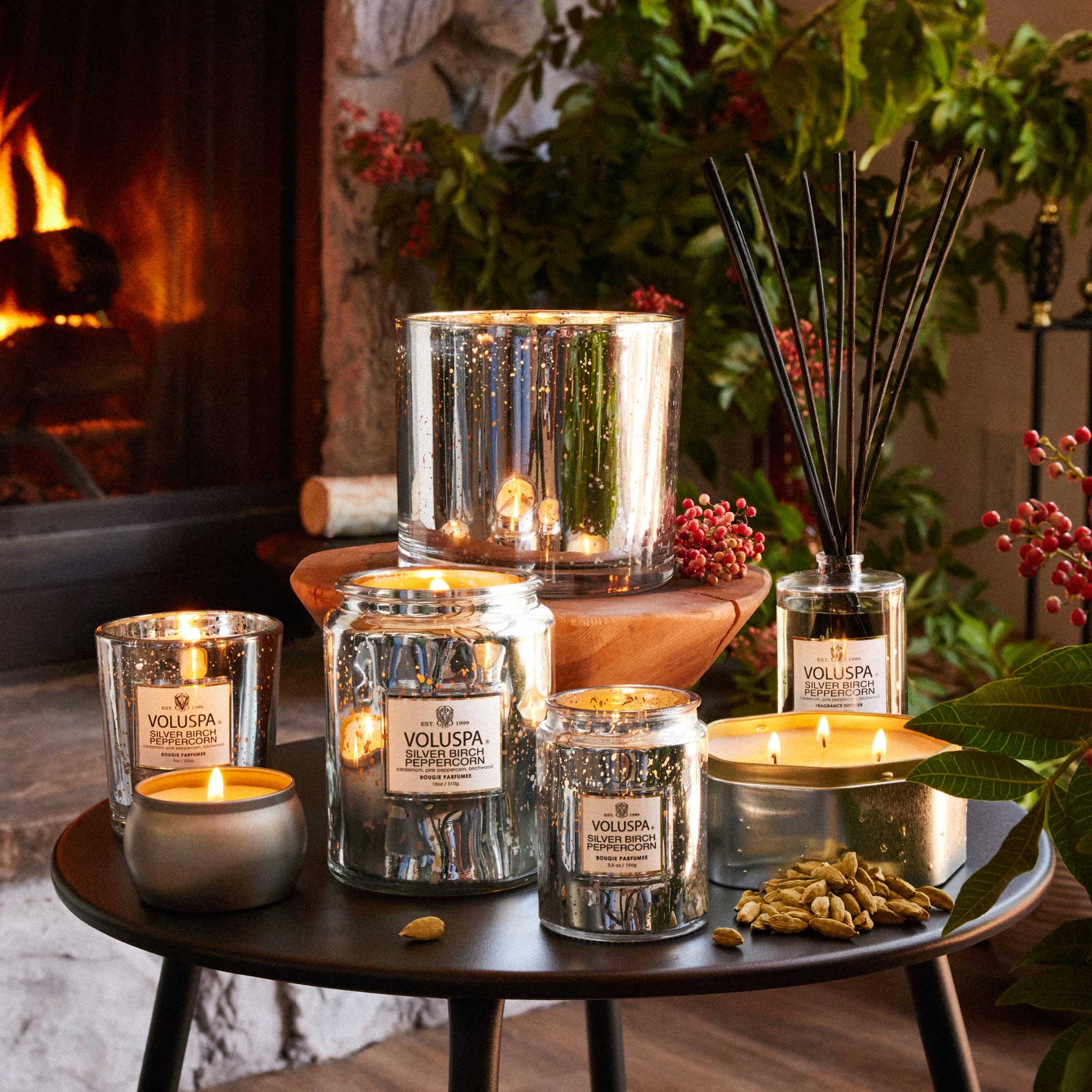 Silver Birch Peppercorn - Mini Tin Candle - Image 4