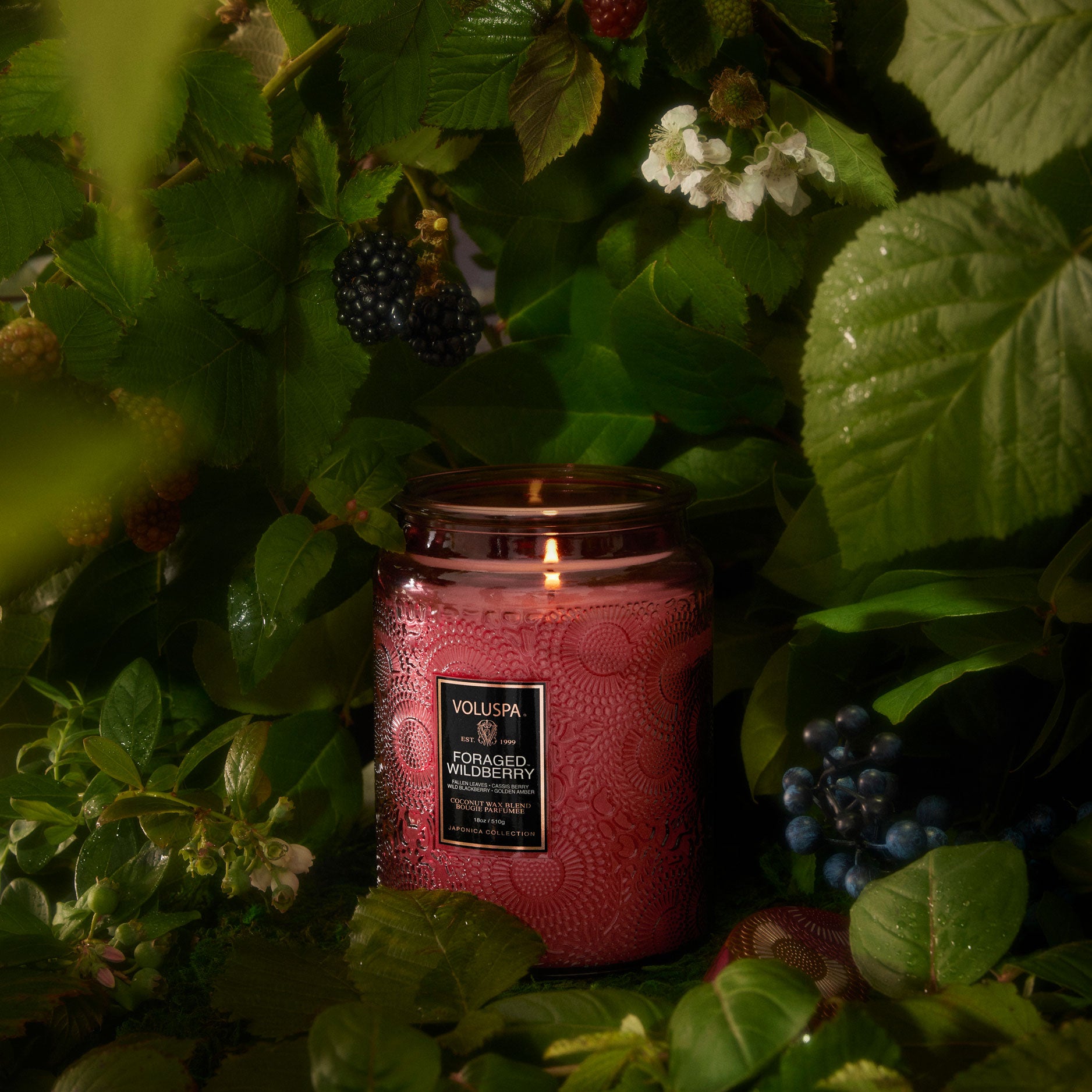 Foraged Wildberry - Large Jar Candle - Image 2