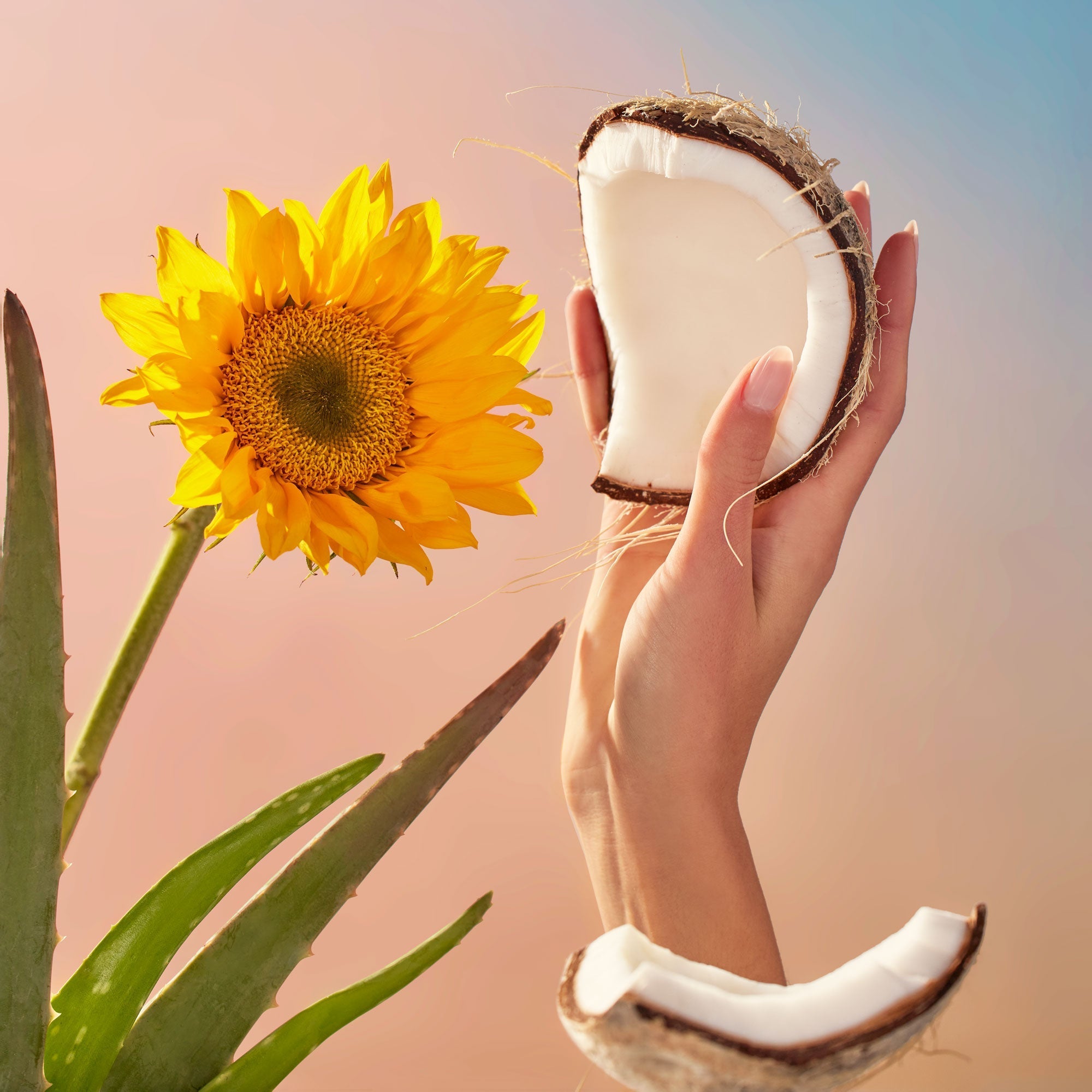 Pink Citron Grapefruit - Hand Soap - Image 3