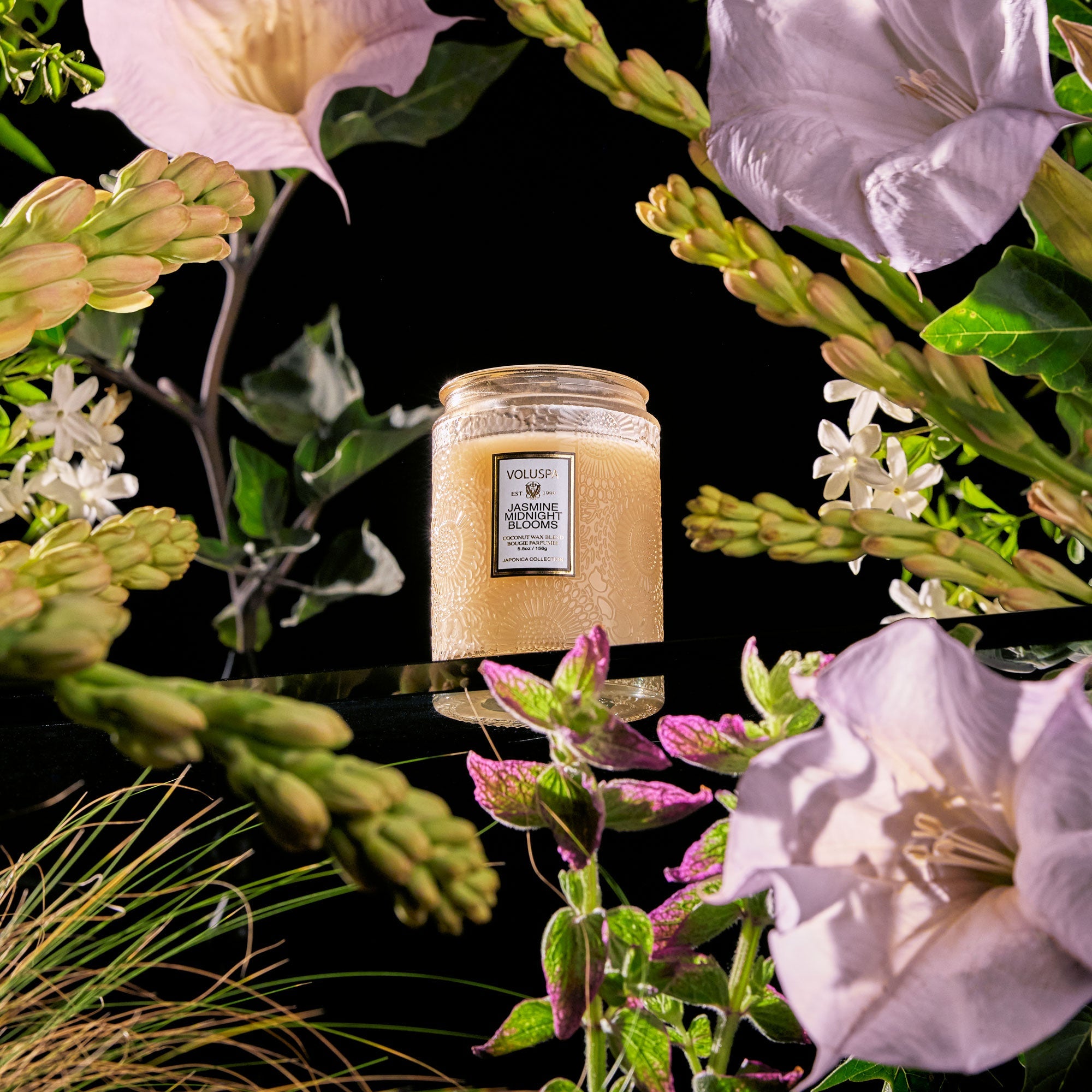 Jasmine Midnight Blooms - Small Jar Candle - Image 3